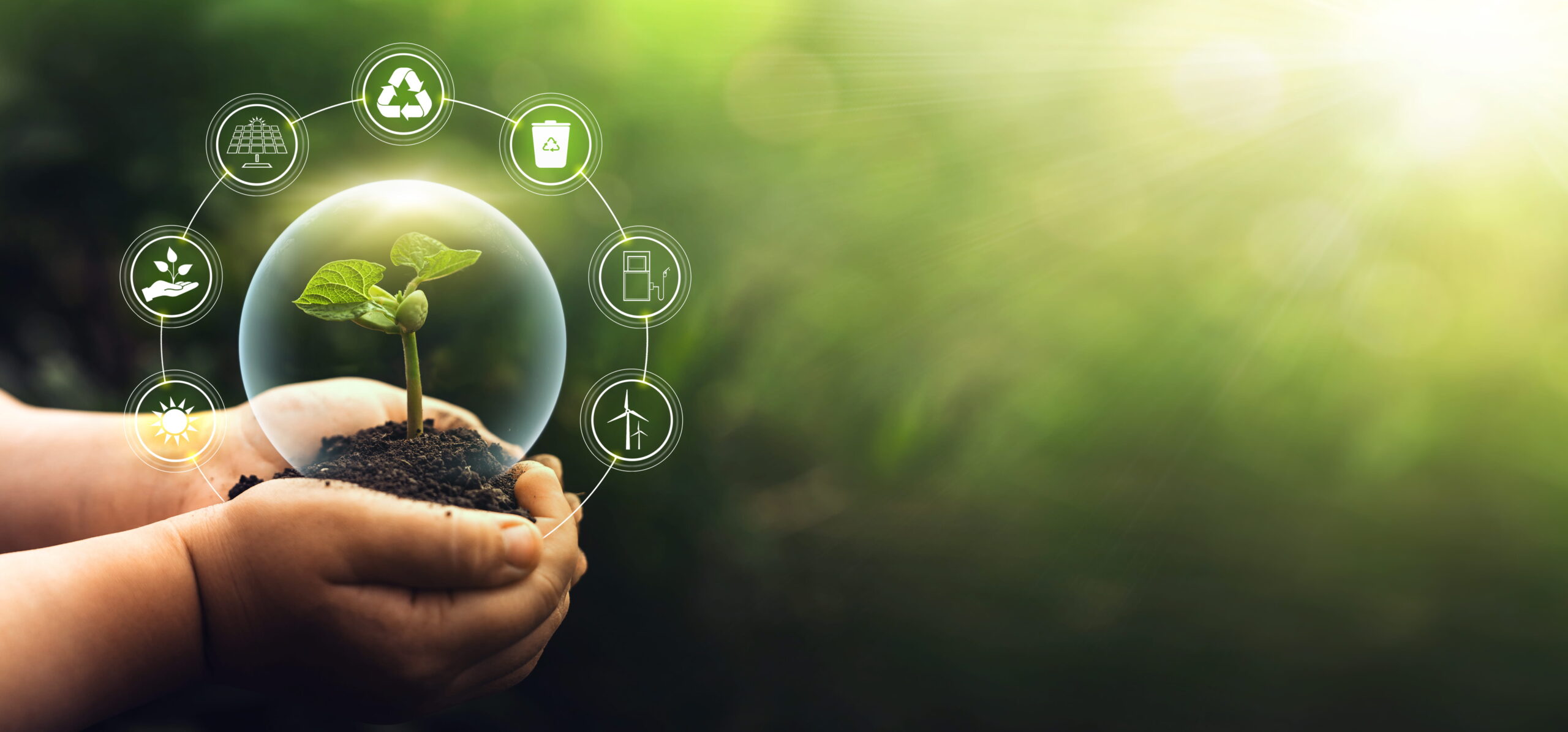 マイクロトレンド